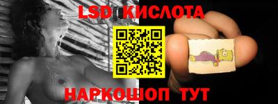 молекула духа Кингисепп