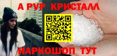 молекула духа Кингисепп