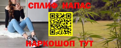молекула духа Кингисепп