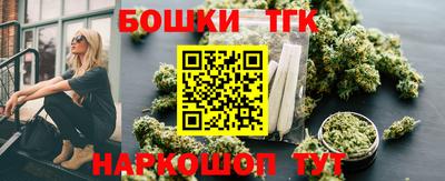 молекула духа Кингисепп