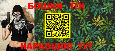 молекула духа Кингисепп