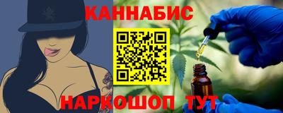 молекула духа Кингисепп