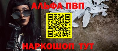 молекула духа Кингисепп