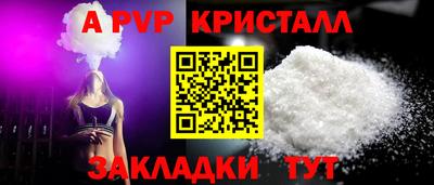 молекула духа Кингисепп