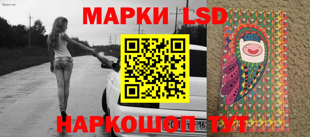 Псилоцибиновые грибы Зима