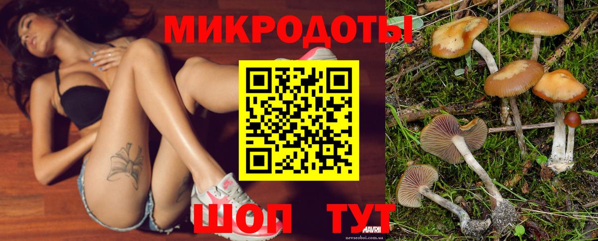 Галлюциногенные грибы Magic Shrooms  Галлюциногенные грибы Cubensis  Вход с VPN  Зима 