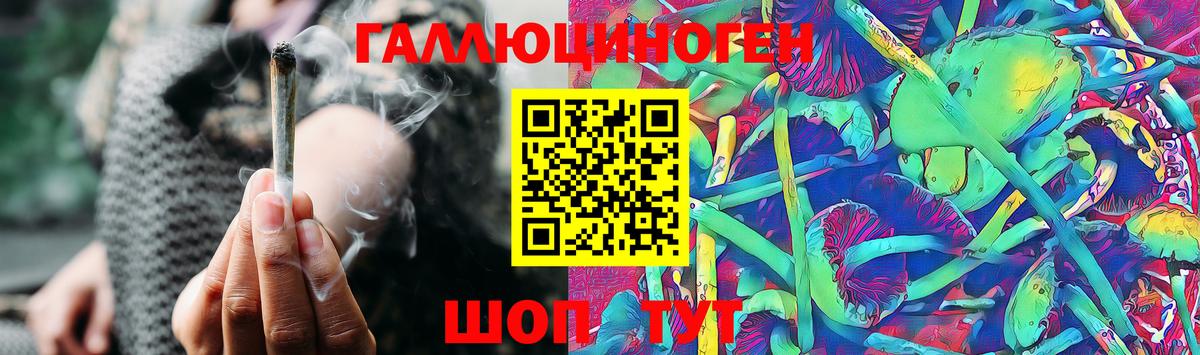 Псилоцибиновые грибы Psilocybe Зима
